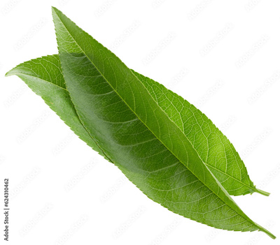image to crop