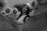 preview bw