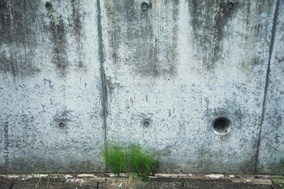 image to crop