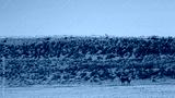 preview cold