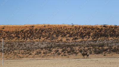 image to crop