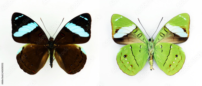 image to crop