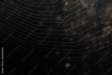 preview original