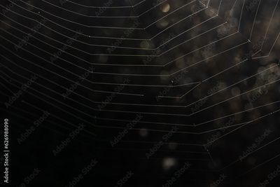 image to crop