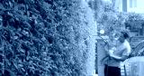 preview cold