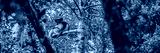 preview cold