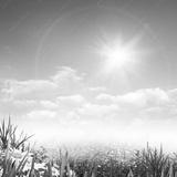 preview bw
