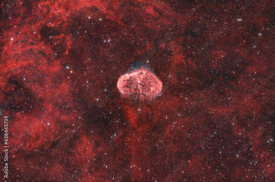 image to crop