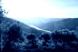 preview cold