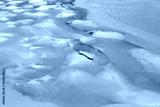 preview cold