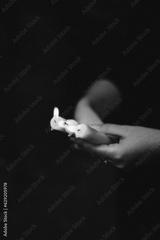 preview bw