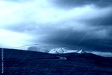 preview cold
