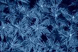 preview cold