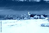 preview cold