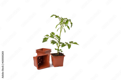 image to crop