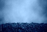 preview cold
