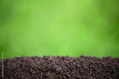image to crop