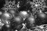preview bw
