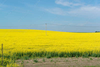 image to crop