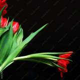 preview original