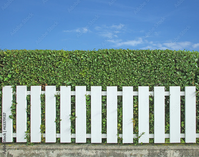 image to crop