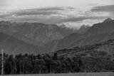 preview bw