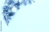 preview cold