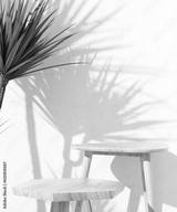 preview bw