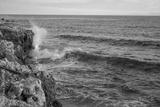 preview bw