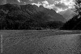 preview bw