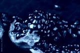 preview cold
