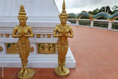 image to crop