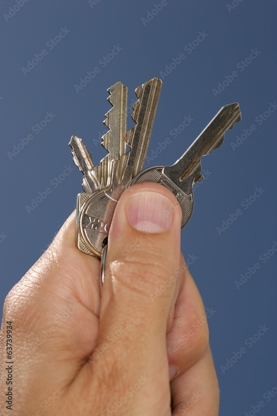 image to crop