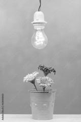 preview bw