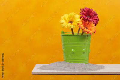 image to crop