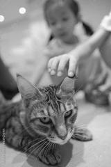 preview bw