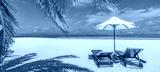 preview cold
