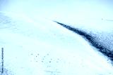 preview cold