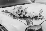 preview bw