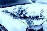 preview cold