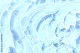 preview cold