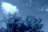 preview cold