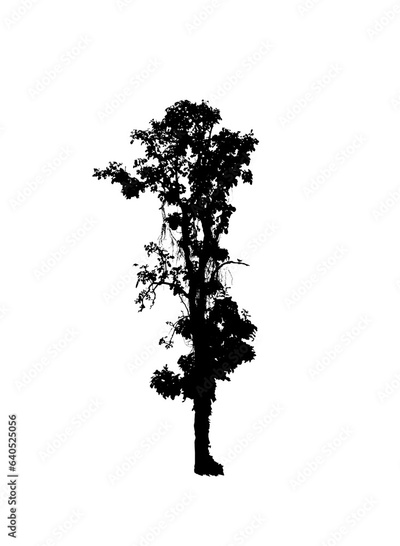 image to crop
