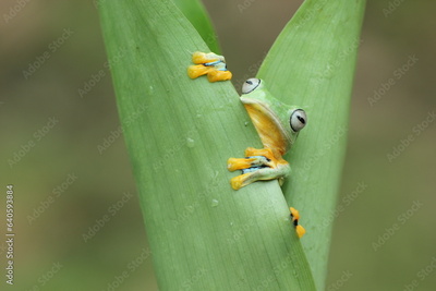 image to crop