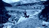 preview cold