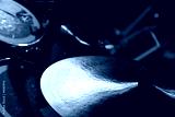 preview cold