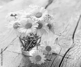 preview bw