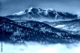 preview cold