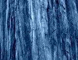 preview cold