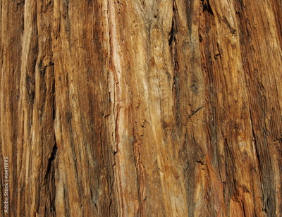 image to crop